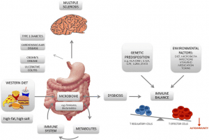 SIBO and Gut Health Nexus